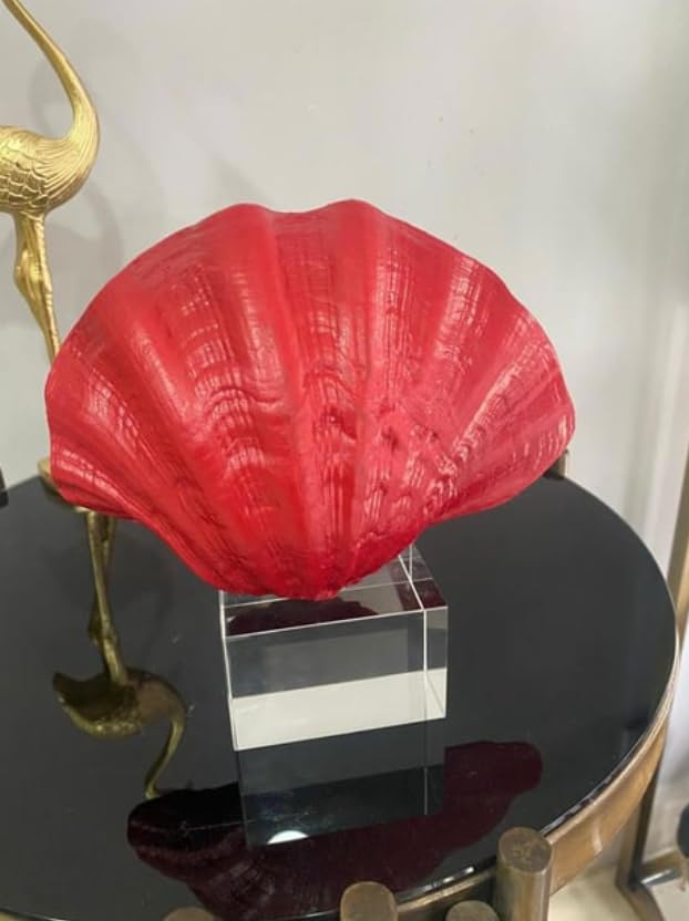 Oyster Coral Sculpture, Modern Ocean Style Accent, Shell Home Decor, Coastal Seashell Sculpture, Ocean Theme Table Art, Oyster Coral Statue