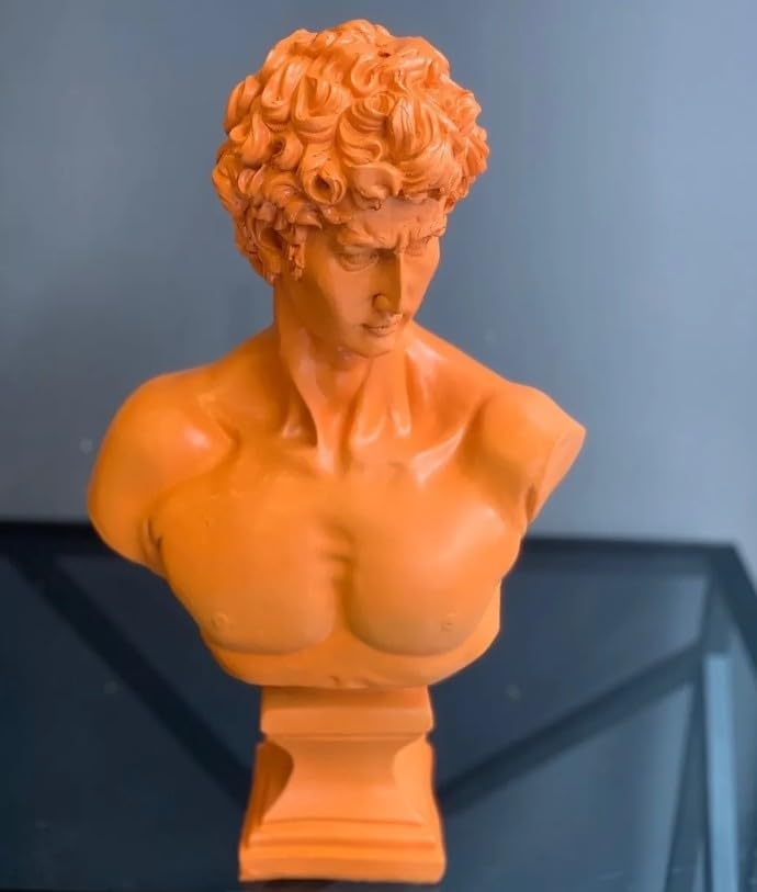 David Bust Decorative Sculpture, Greek Statue Decor, Abstract Classical Bust Statue, Modern Art Sculpture, David Bust, David Sculpture, David Bust Decor, David Decor, David Statue