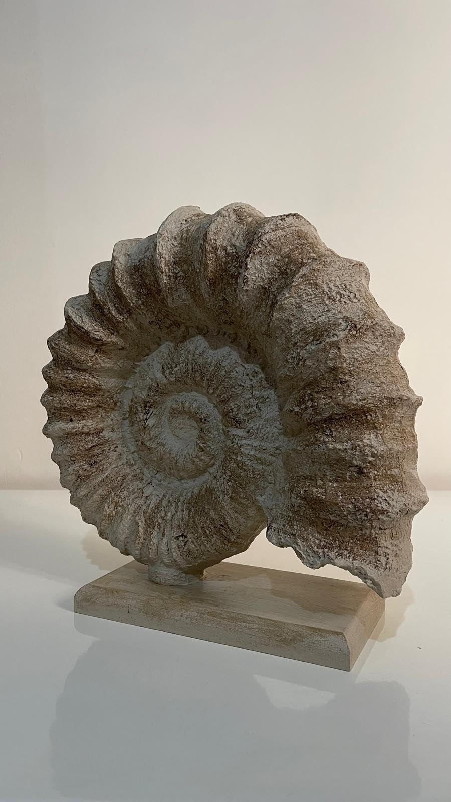 Seashell Sculpture, Fossil Shell Statue, Shell Art Decor, Oceanic Home Decor, Ocean Inspired Sculpture, Seashell Figurine, Ocean Sculpture,Nautilus Shell Decor