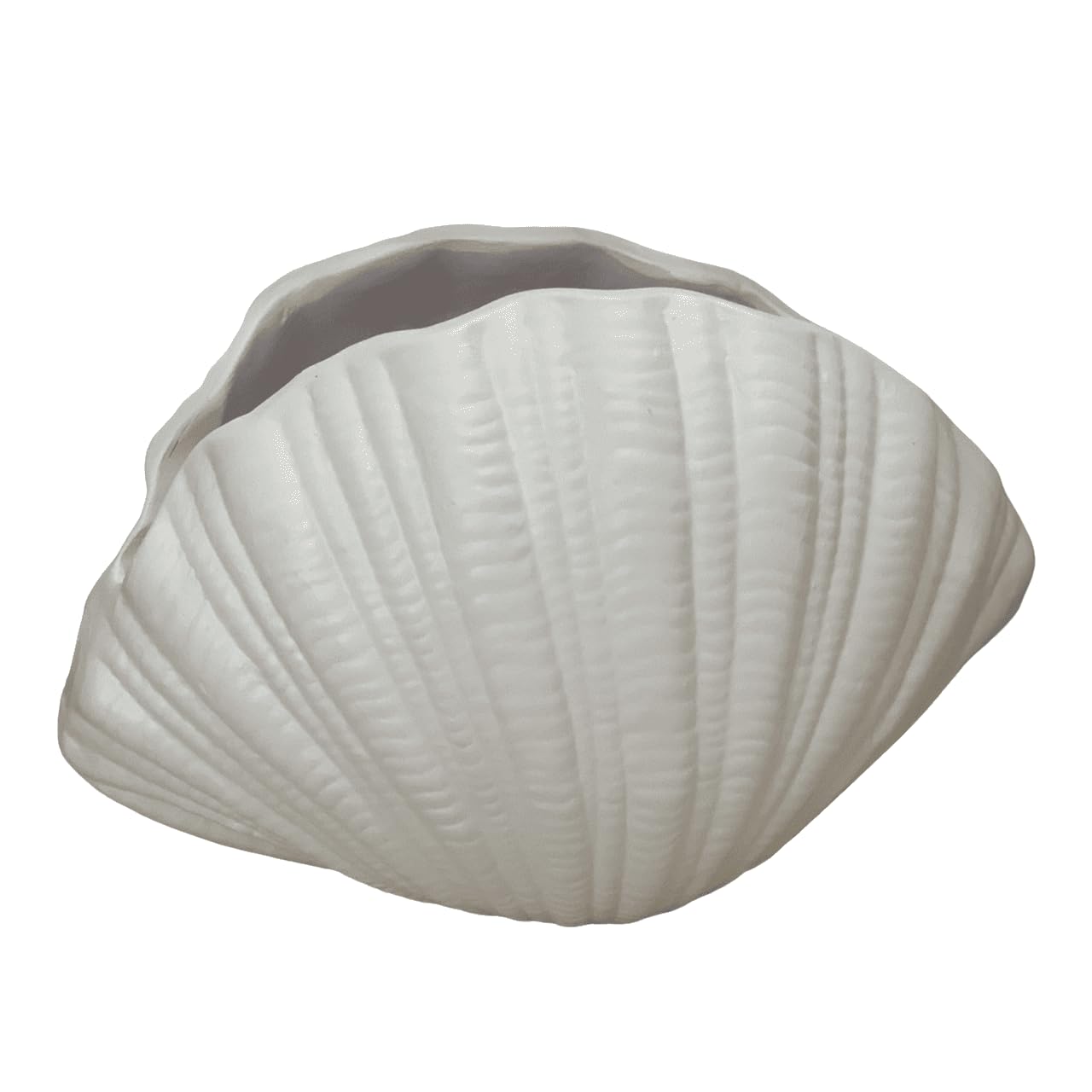 Ceramic Seashell Decorative Bowl, Coastal Shell Accent Piece, Modern Ocean-Inspired Home Decor, Ceramic Seashell Bowl, Coastal Ceramic Decor, Coastal Decor