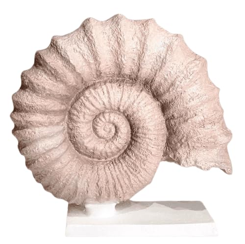 Seashell Sculpture, Fossil Shell Statue, Shell Art Decor, Oceanic Home Decor, Ocean Inspired Sculpture, Seashell Figurine, Ocean Sculpture,Nautilus Shell Decor