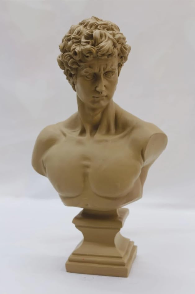 David Bust Decorative Sculpture, Greek Statue Decor, Abstract Classical Bust Statue, Modern Art Sculpture, David Bust, David Sculpture, David Bust Decor, David Decor, David Statue