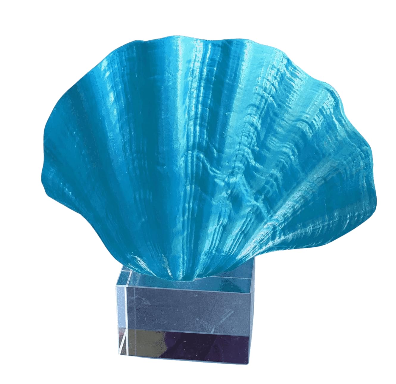 Oyster Coral Sculpture, Modern Ocean Style Accent, Shell Home Decor, Coastal Seashell Sculpture, Ocean Theme Table Art, Oyster Coral Statue