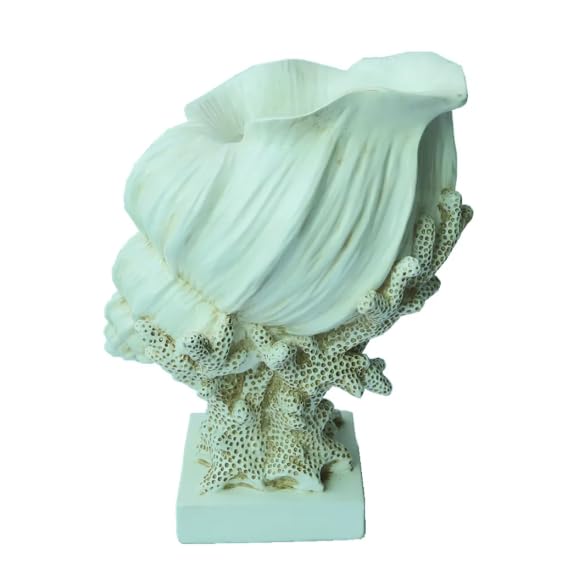 Seashell Vase with Coral Base, Seashell Flower Vase, Seashell Vase, Modern Coastal Shell Vase, Ocean Home Decor, Nautical Decor, Ocean Vase