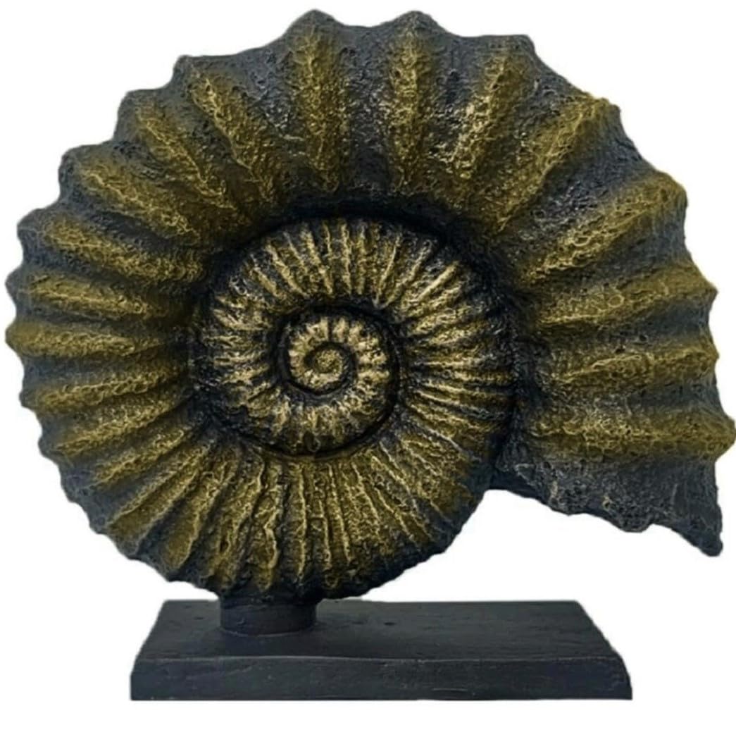 Seashell Sculpture, Fossil Shell Statue, Shell Art Decor, Oceanic Home Decor, Ocean Inspired Sculpture, Seashell Figurine, Ocean Sculpture,Nautilus Shell Decor