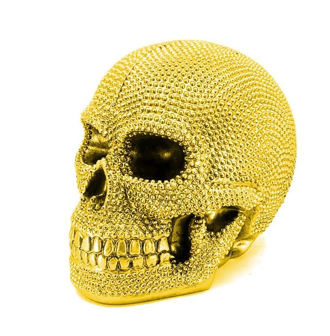 Skull Sculpture with Textured Detail, Gothic Polyester Skull Decor, Skull Decor for Shelves, Textured Surface Skull Decor, Skull Statue, Skull Sculpture, Skull Decor, Skull Objects