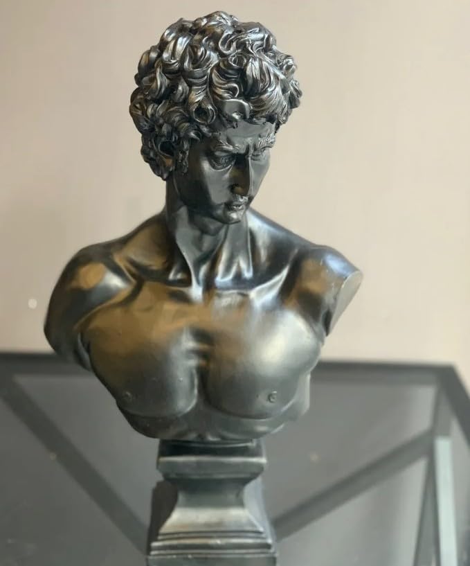 David Bust Decorative Sculpture, Greek Statue Decor, Abstract Classical Bust Statue, Modern Art Sculpture, David Bust, David Sculpture, David Bust Decor, David Decor, David Statue