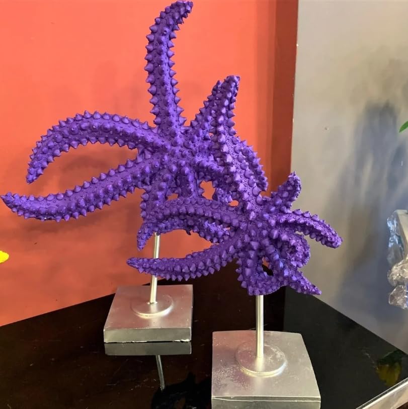 Set di 2 sculture di stelle marine, decorazione a forma di stella marina, statuetta a forma di stella marina, decorazione a tema oceano, accessori per la casa, scultura costiera, statuetta costiera, scultura a forma di stella marina