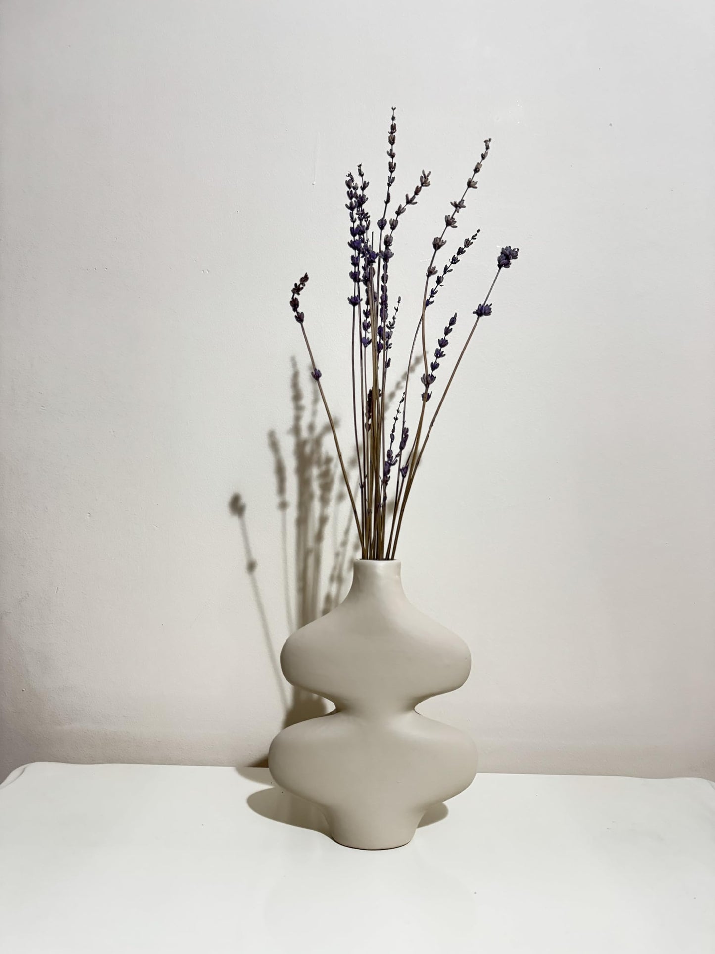 Wavy Ceramic Vase, Abstract decorative vase, Curved Design Vase, Abstract Art Decor, Ceramic Vase for Blooms, Home Accents, Wavy Vase, Abstract Vase, Curved Vase