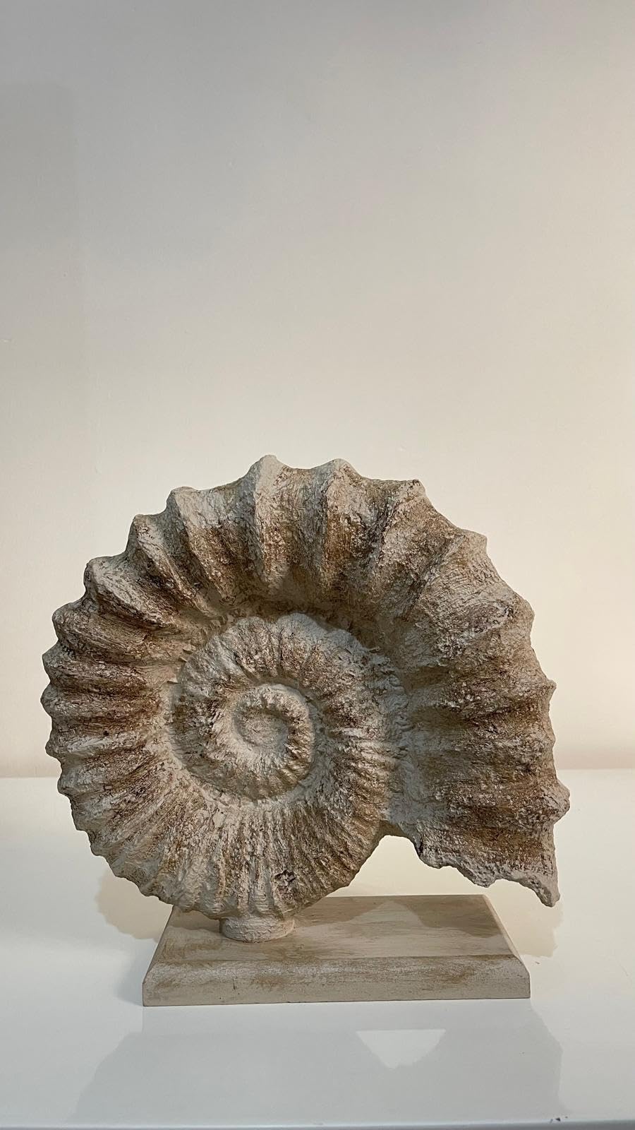 Seashell Sculpture, Fossil Shell Statue, Shell Art Decor, Oceanic Home Decor, Ocean Inspired Sculpture, Seashell Figurine, Ocean Sculpture,Nautilus Shell Decor