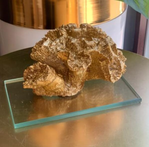 Coral Sculpture with Crystal Base, Ocean Themed Sculpture, Coral Figurine, Sea Life Decoration, Coral Reef Decor, Elegant Ocean Decor, Coral Statue, Coral Decor