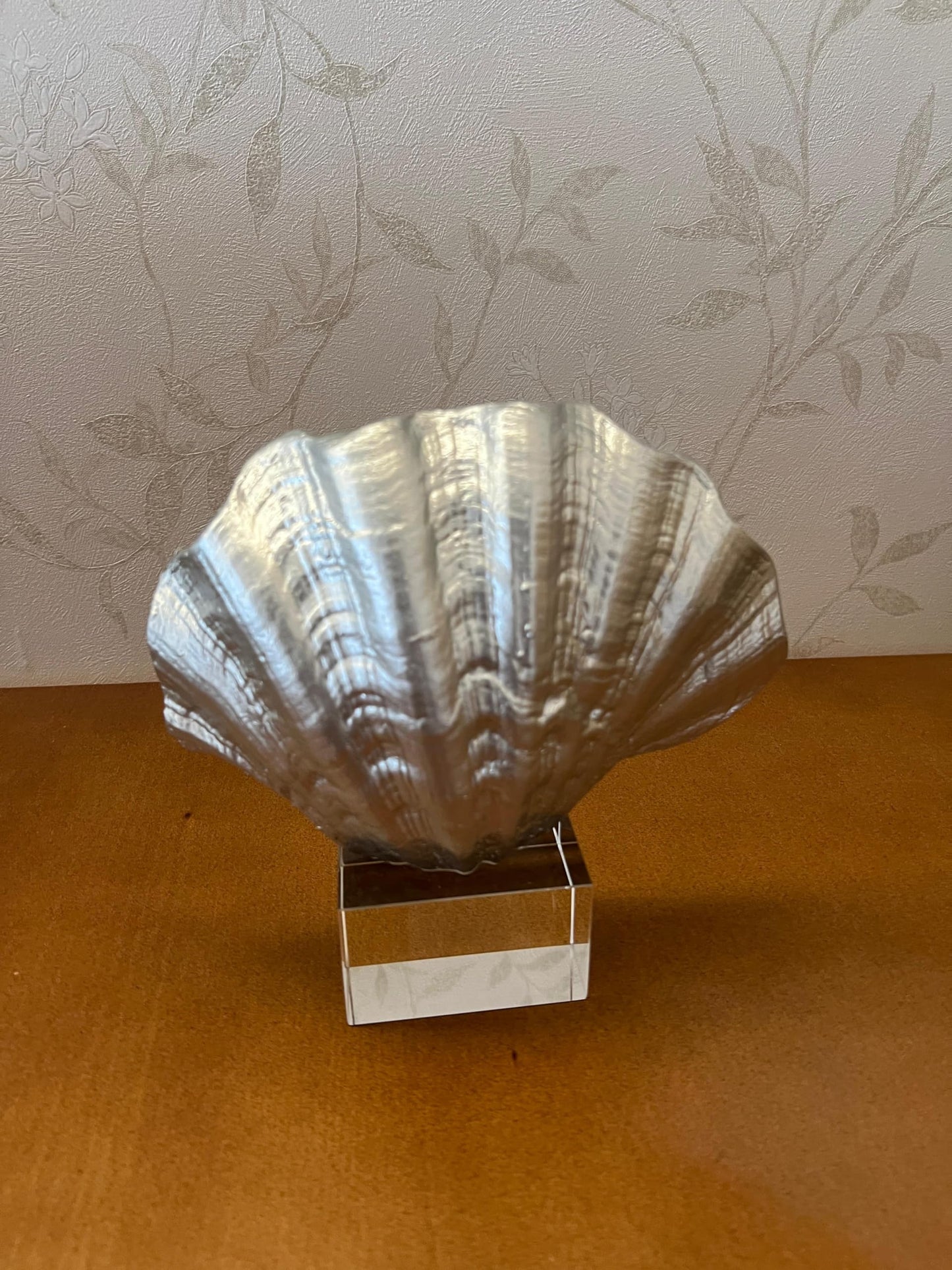 Oyster Coral Sculpture, Modern Ocean Style Accent, Shell Home Decor, Coastal Seashell Sculpture, Ocean Theme Table Art, Oyster Coral Statue