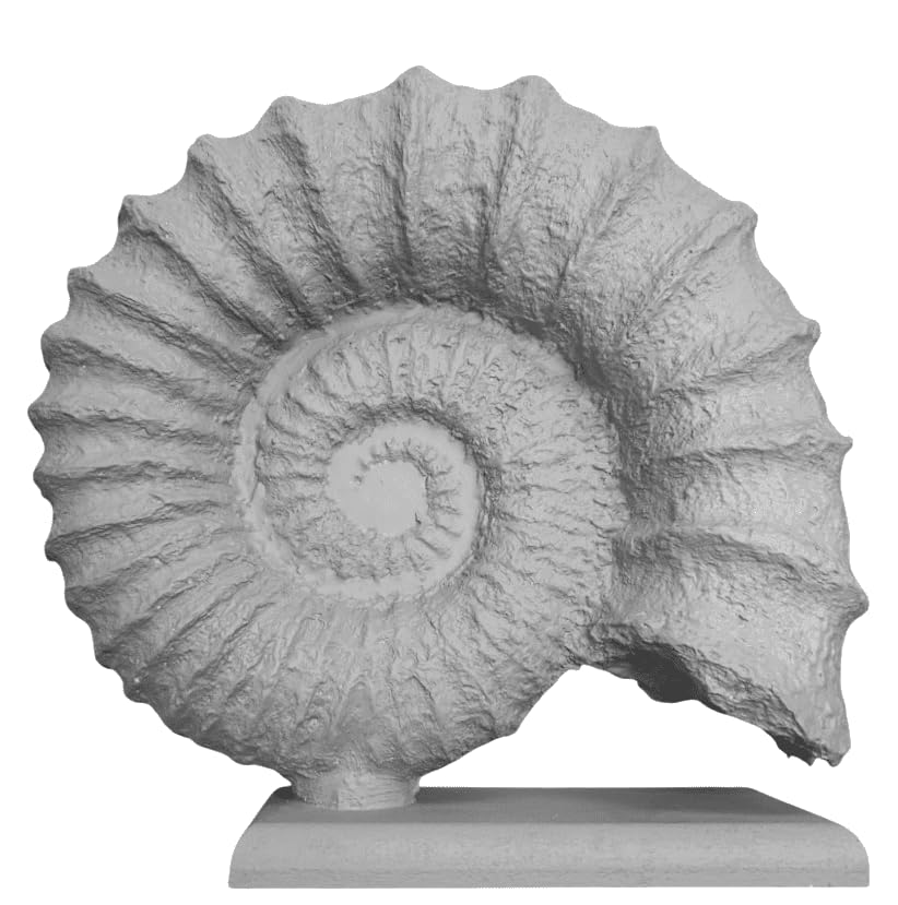 Seashell Sculpture, Fossil Shell Statue, Shell Art Decor, Oceanic Home Decor, Ocean Inspired Sculpture, Seashell Figurine, Ocean Sculpture,Nautilus Shell Decor