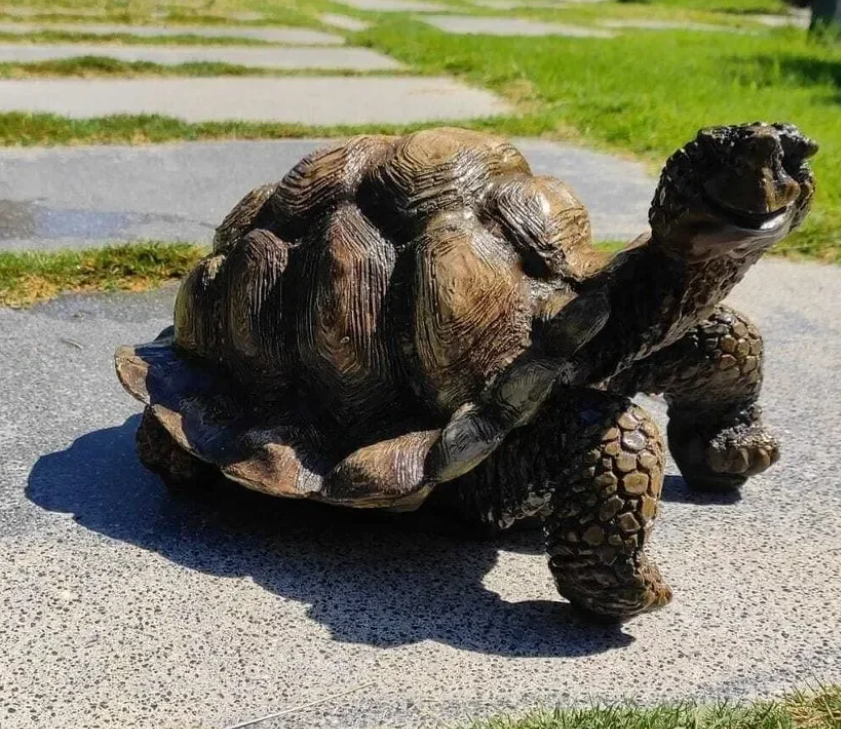 Realistic Turtle Decor Statue, Large Turtle Decorative Statue, Garden Turtle Statue, Hand-Painted Turtle Decor for Home, Tortoise Sculpture