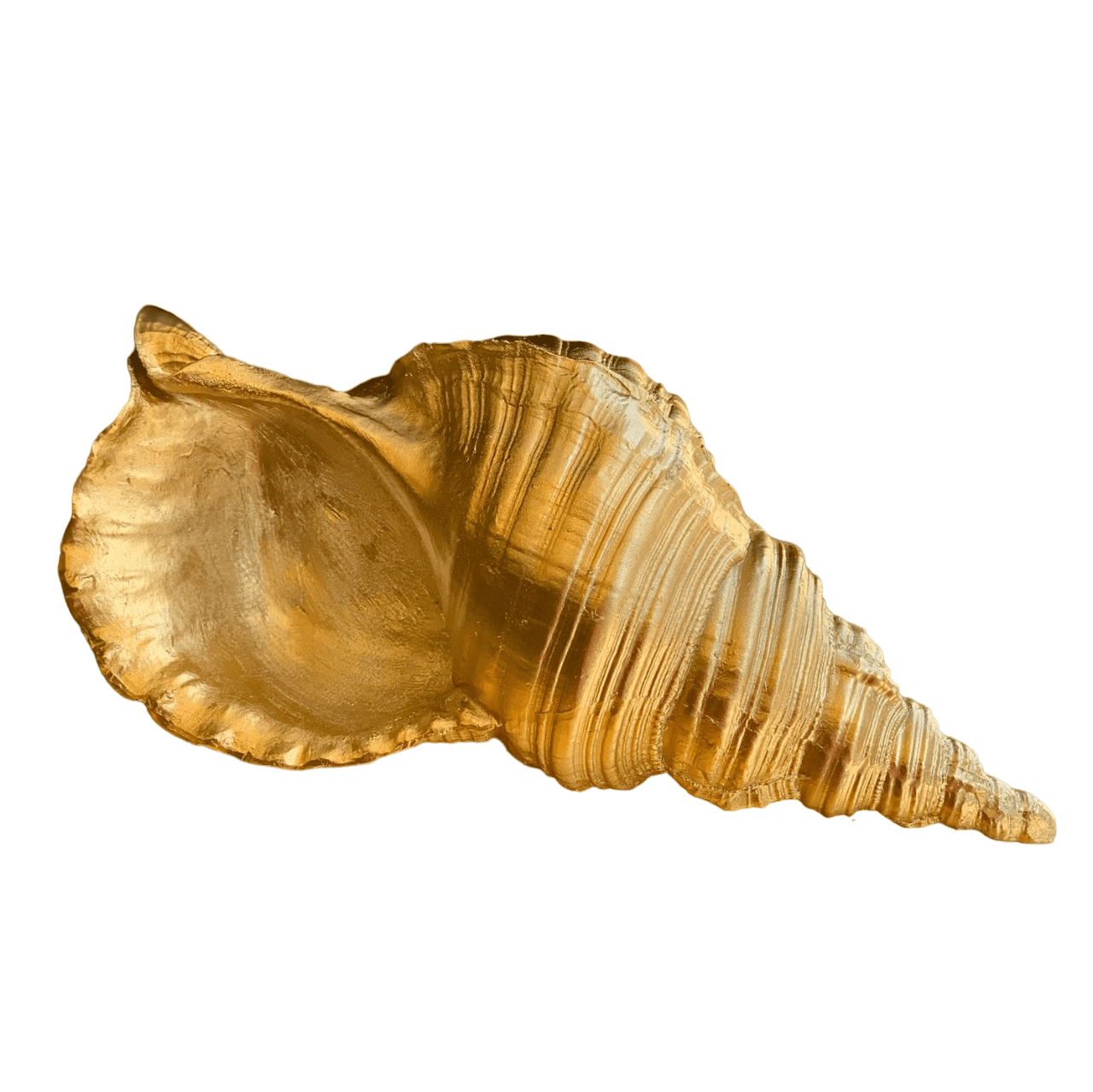 Large Sea Shell Statue, Polyester Sea Shell Sculpture, Elegant Sea Shell Decor, Beach Inspired Shell Sculpture, Coastal Shell Accent Decor