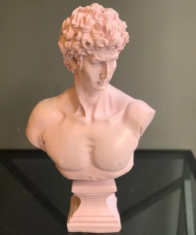 David Bust Decorative Sculpture, Greek Statue Decor, Abstract Classical Bust Statue, Modern Art Sculpture, David Bust, David Sculpture, David Bust Decor, David Decor, David Statue