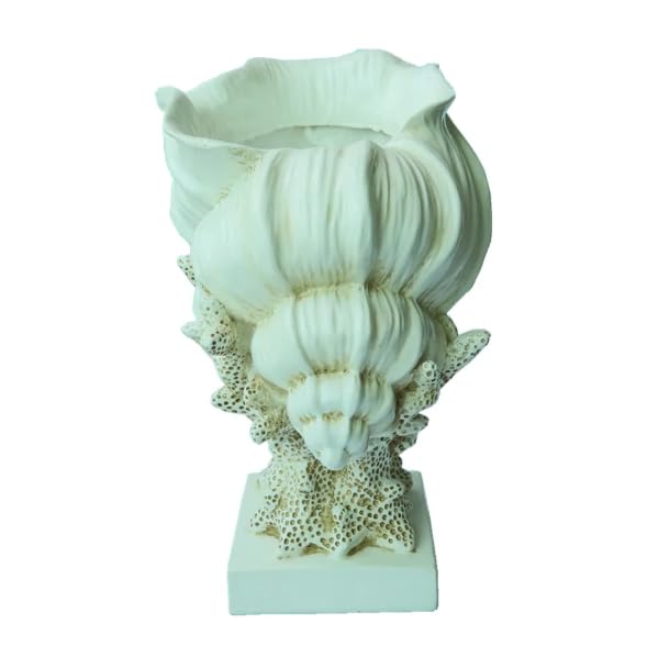 Seashell Vase with Coral Base, Seashell Flower Vase, Seashell Vase, Modern Coastal Shell Vase, Ocean Home Decor, Nautical Decor, Ocean Vase