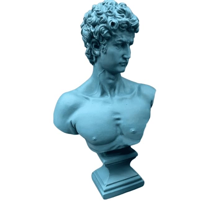 David Bust Decorative Sculpture, Greek Statue Decor, Abstract Classical Bust Statue, Modern Art Sculpture, David Bust, David Sculpture, David Bust Decor, David Decor, David Statue