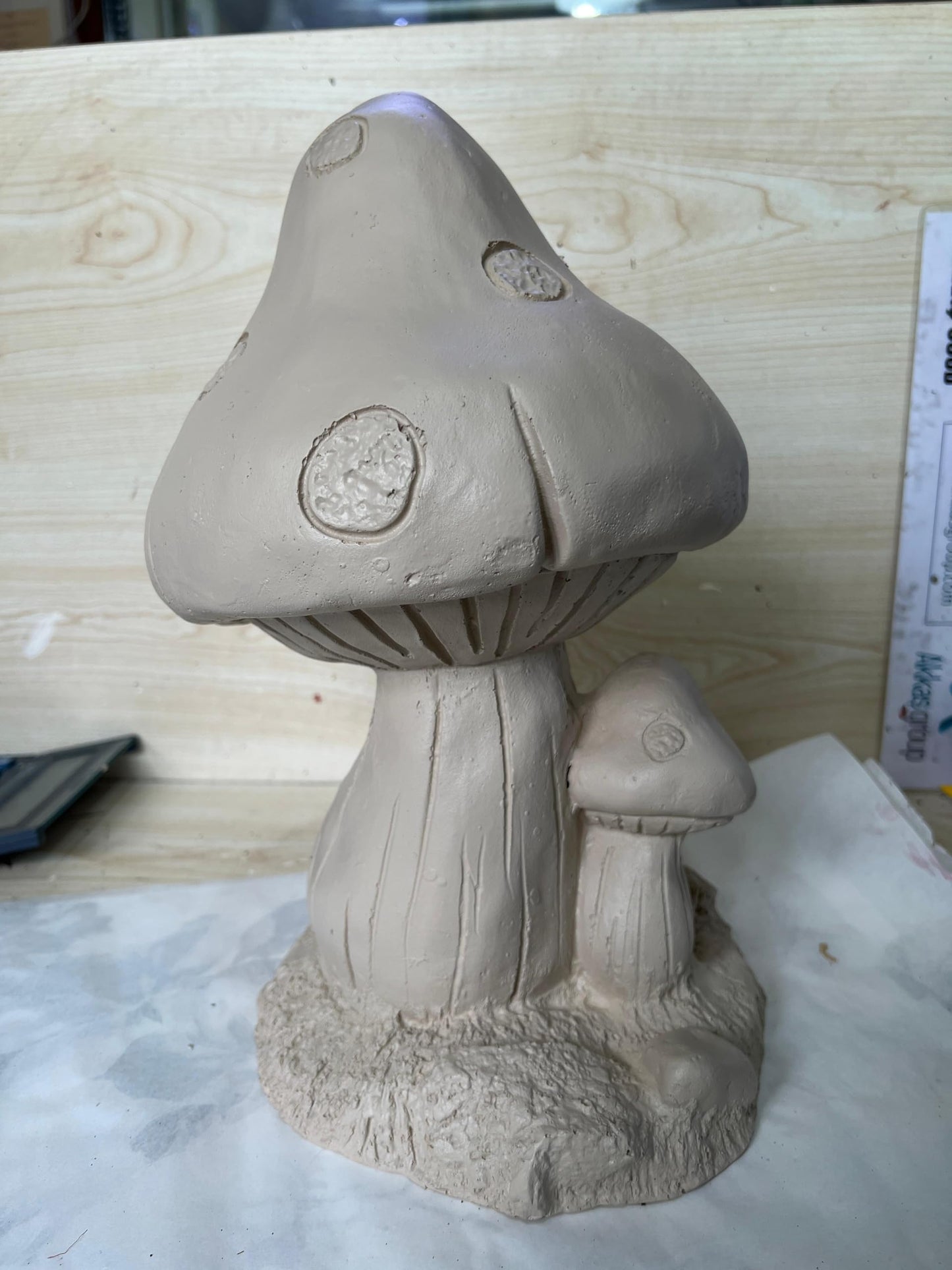 Toadstool Mushroom Figurines Set of 2, Mushroom Home Decor, Toadstool Decor, Whimsical Mushroom Art, Mushroom Figurine Pair, Mushroom Decor