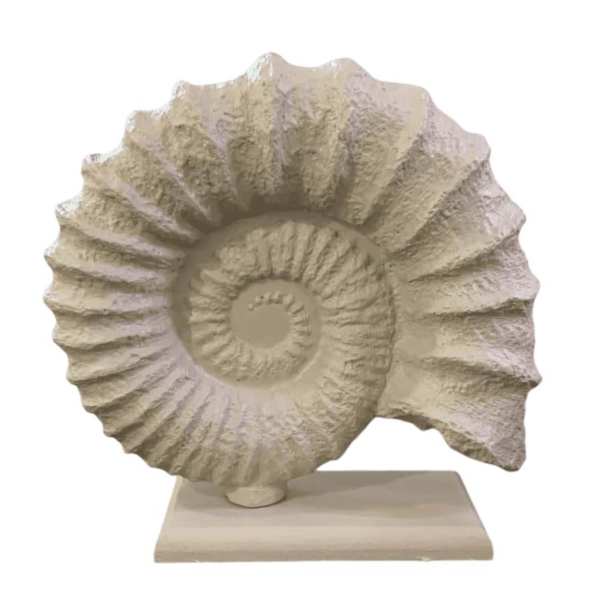 Seashell Sculpture, Fossil Shell Statue, Shell Art Decor, Oceanic Home Decor, Ocean Inspired Sculpture, Seashell Figurine, Ocean Sculpture,Nautilus Shell Decor