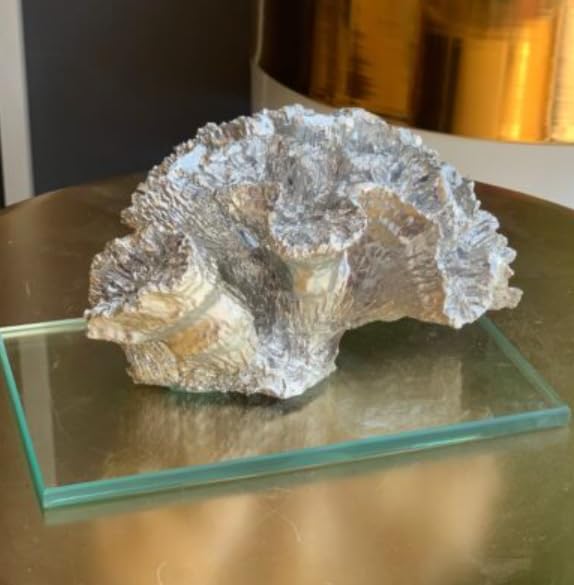 Coral Sculpture with Crystal Base, Ocean Themed Sculpture, Coral Figurine, Sea Life Decoration, Coral Reef Decor, Elegant Ocean Decor, Coral Statue, Coral Decor
