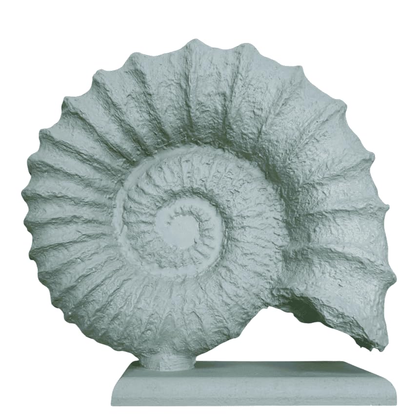Seashell Sculpture, Fossil Shell Statue, Shell Art Decor, Oceanic Home Decor, Ocean Inspired Sculpture, Seashell Figurine, Ocean Sculpture,Nautilus Shell Decor