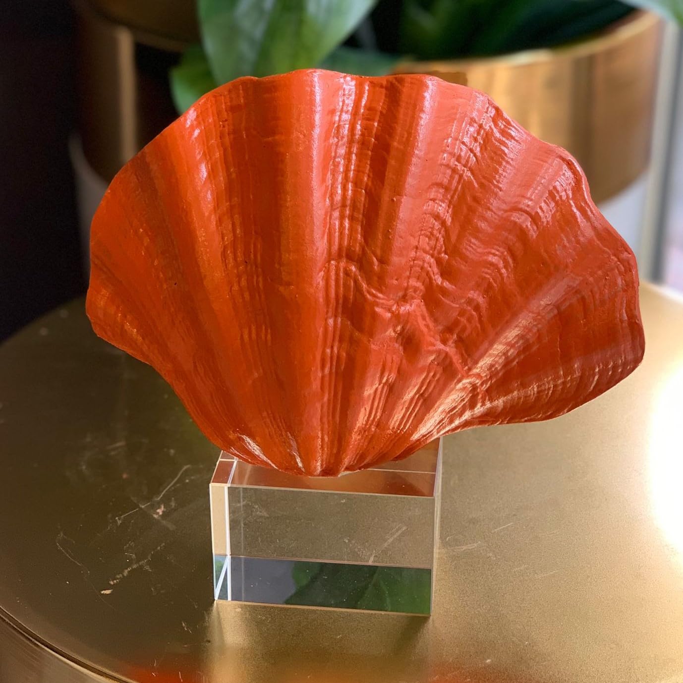 Oyster Coral Sculpture, Modern Ocean Style Accent, Shell Home Decor, Coastal Seashell Sculpture, Ocean Theme Table Art, Oyster Coral Statue