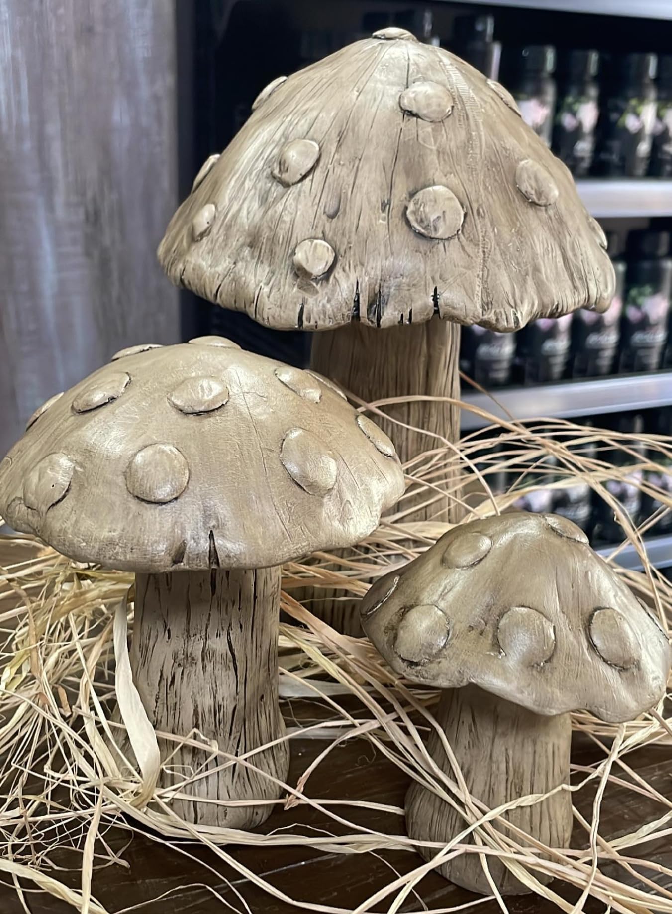 Set of 3 Red Toadstool Mushroom Statues, Mushroom Garden Decor, Toadstool Statue, Mushroom House Decor, Outdoor Mushroom Art, Mushroom Decor