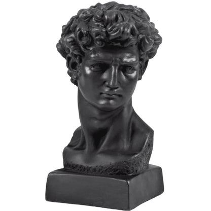 Classical Bust Sculpture, David Bust Head Satue, Renaissance Style Bust Statue, Classical Head Sculpture, David Bust Sculpture, David Bust, David Bust Decor, David Sculpture