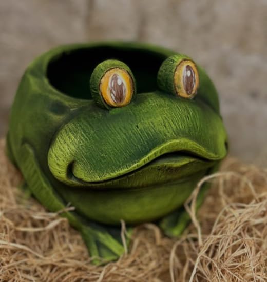 Frog Planter Pot, Frog Shaped Flower Pot Planter, Frog Planter for Indoor, Frog Vase, Frog Themed Vase, Gift For Frog Lovers, Frog Plant Pot