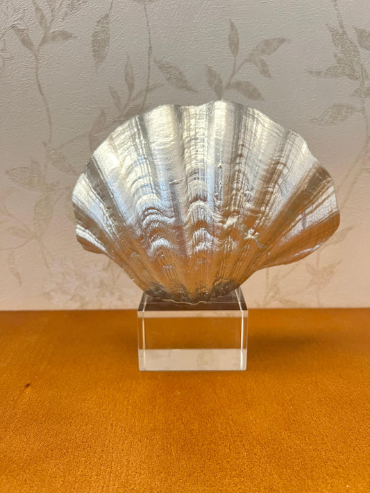 Oyster Coral Sculpture, Modern Ocean Style Accent, Shell Home Decor, Coastal Seashell Sculpture, Ocean Theme Table Art, Oyster Coral Statue