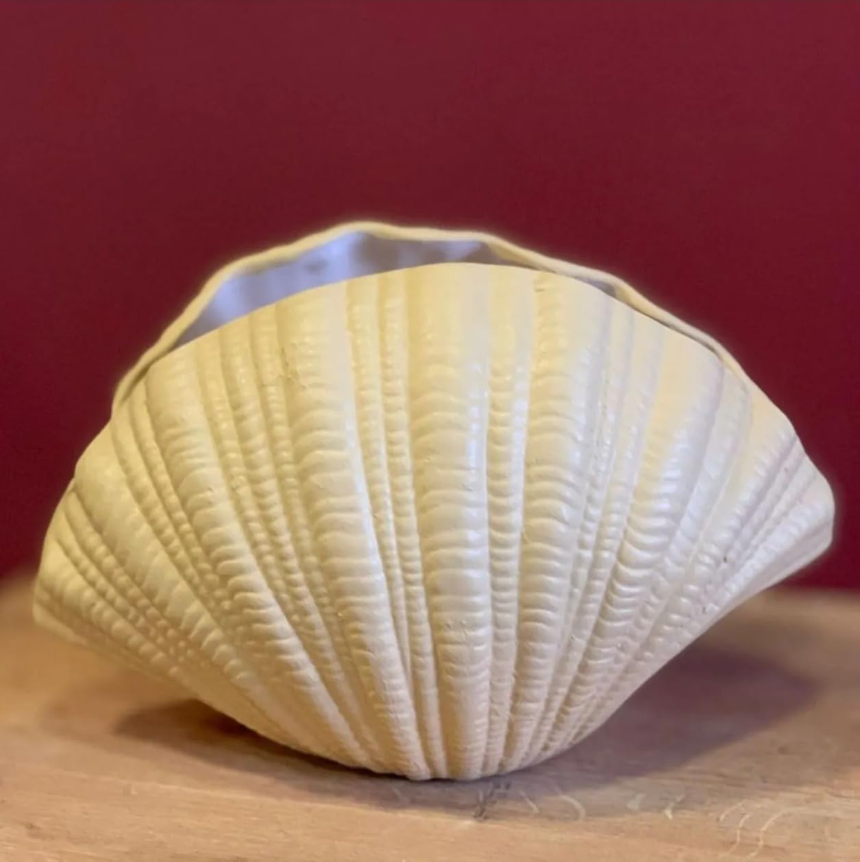 Ceramic Seashell Decorative Bowl, Coastal Shell Accent Piece, Modern Ocean-Inspired Home Decor, Ceramic Seashell Bowl, Coastal Ceramic Decor, Coastal Decor