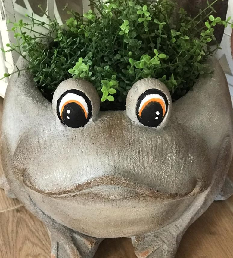 Frog Planter Pot, Frog Shaped Flower Pot Planter, Frog Planter for Indoor, Frog Vase, Frog Themed Vase, Gift For Frog Lovers, Frog Plant Pot