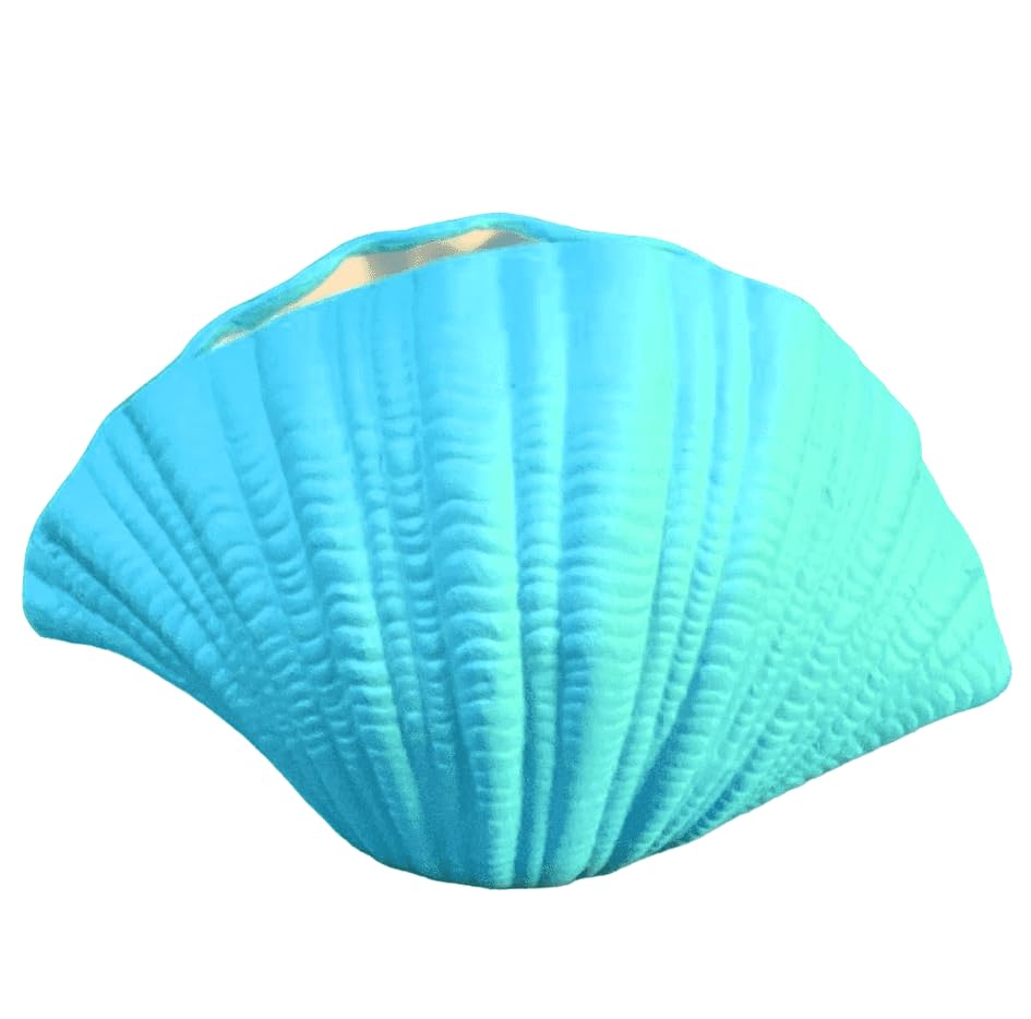 Ceramic Seashell Decorative Bowl, Coastal Shell Accent Piece, Modern Ocean-Inspired Home Decor, Ceramic Seashell Bowl, Coastal Ceramic Decor, Coastal Decor