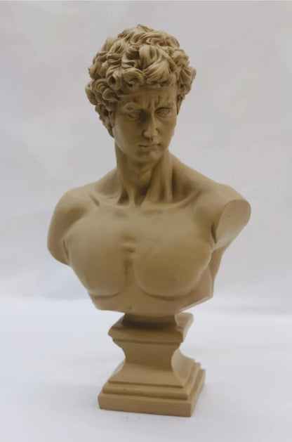 David Bust Decorative Sculpture, Greek Statue Decor, Abstract Classical Bust Statue, Modern Art Sculpture, David Bust, David Sculpture, David Bust Decor, David Decor, David Statue