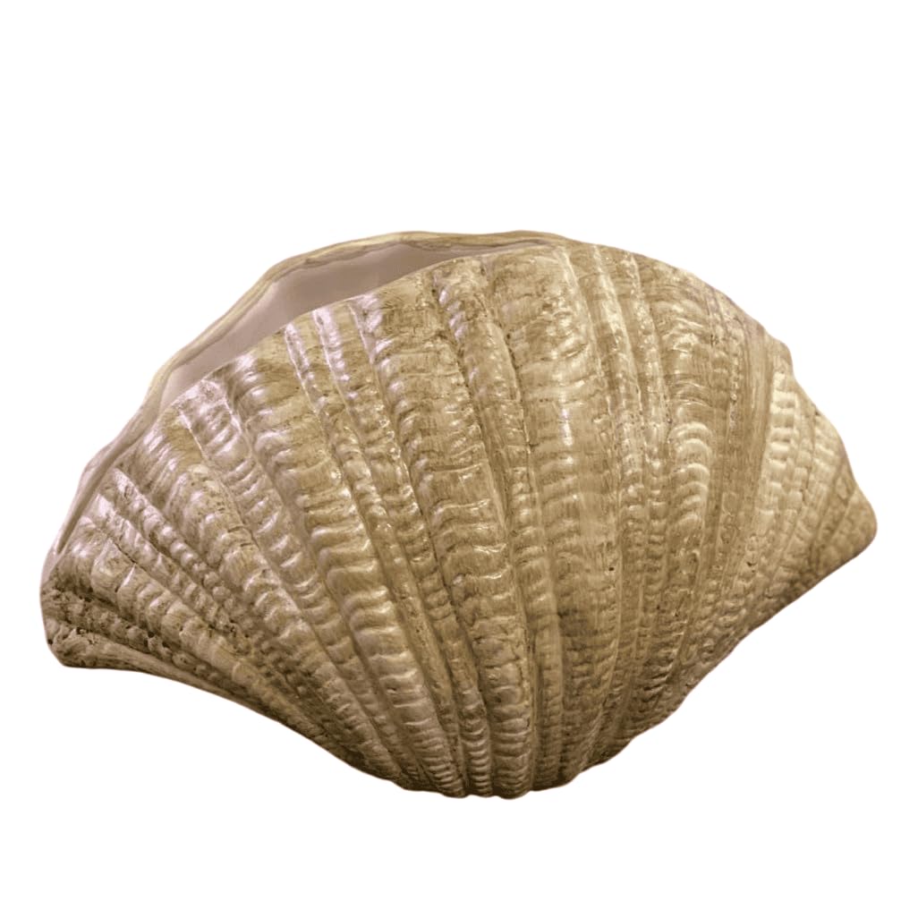 Ceramic Seashell Decorative Bowl, Coastal Shell Accent Piece, Modern Ocean-Inspired Home Decor, Ceramic Seashell Bowl, Coastal Ceramic Decor, Coastal Decor