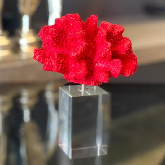 Coral Sculpture on Crystal Base, Coral Decor, Coral Crystal Base, Natural Coral Sculpture, Coastal Chic Decor, Natural Coral Art, Coral Sculpture, Coral Figurine, Coral Decor