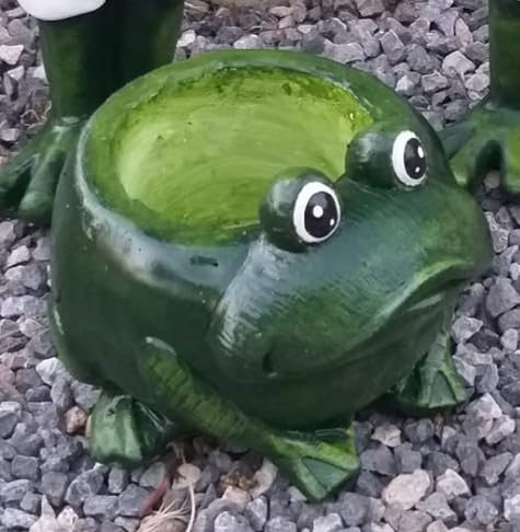 Frog Planter Pot, Frog Shaped Flower Pot Planter, Frog Planter for Indoor, Frog Vase, Frog Themed Vase, Gift For Frog Lovers, Frog Plant Pot