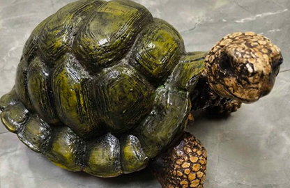 Realistic Turtle Decor Statue, Large Turtle Decorative Statue, Garden Turtle Statue, Hand-Painted Turtle Decor for Home, Tortoise Sculpture