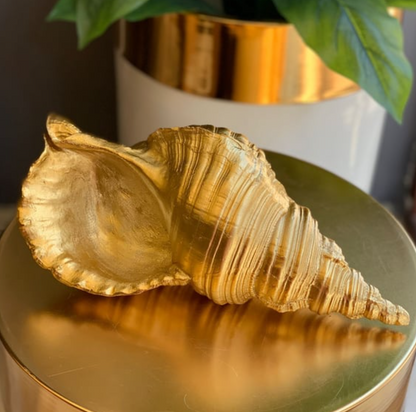 Large Sea Shell Statue, Polyester Sea Shell Sculpture, Elegant Sea Shell Decor, Beach Inspired Shell Sculpture, Coastal Shell Accent Decor