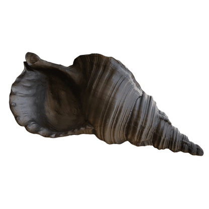 Large Sea Shell Statue, Polyester Sea Shell Sculpture, Elegant Sea Shell Decor, Beach Inspired Shell Sculpture, Coastal Shell Accent Decor