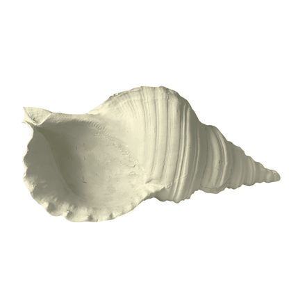 Large Sea Shell Statue, Polyester Sea Shell Sculpture, Elegant Sea Shell Decor, Beach Inspired Shell Sculpture, Coastal Shell Accent Decor