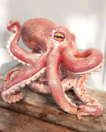 Handmade Octopus Wine Rack Holder, Octopus Shaped Wine Rack, Marine Theme Octopus Wine Bottle Holder, Unique Octopus Wine Rack Decor
