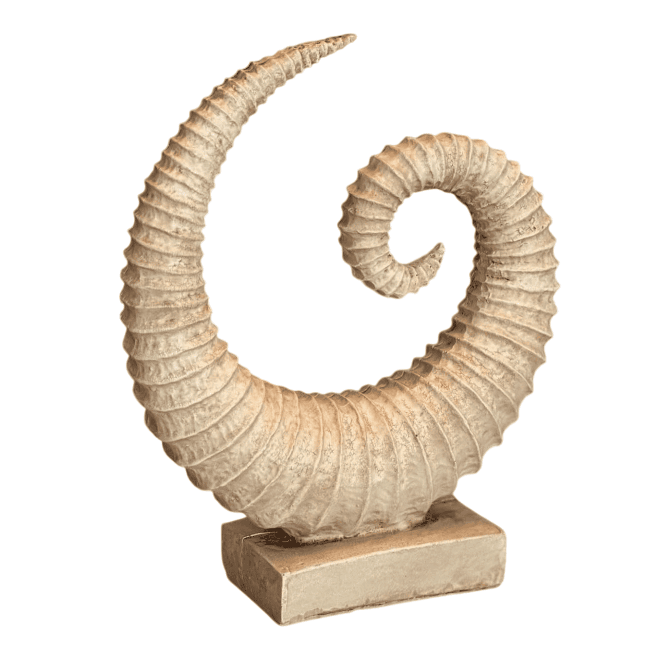 Handmade Fossil Decor Sculpture, Spiral Fossil Art Decor, Sea Shell Statue, Fossil Shell Statue, Modern Fossil Inspired Decor, Fossil Decor