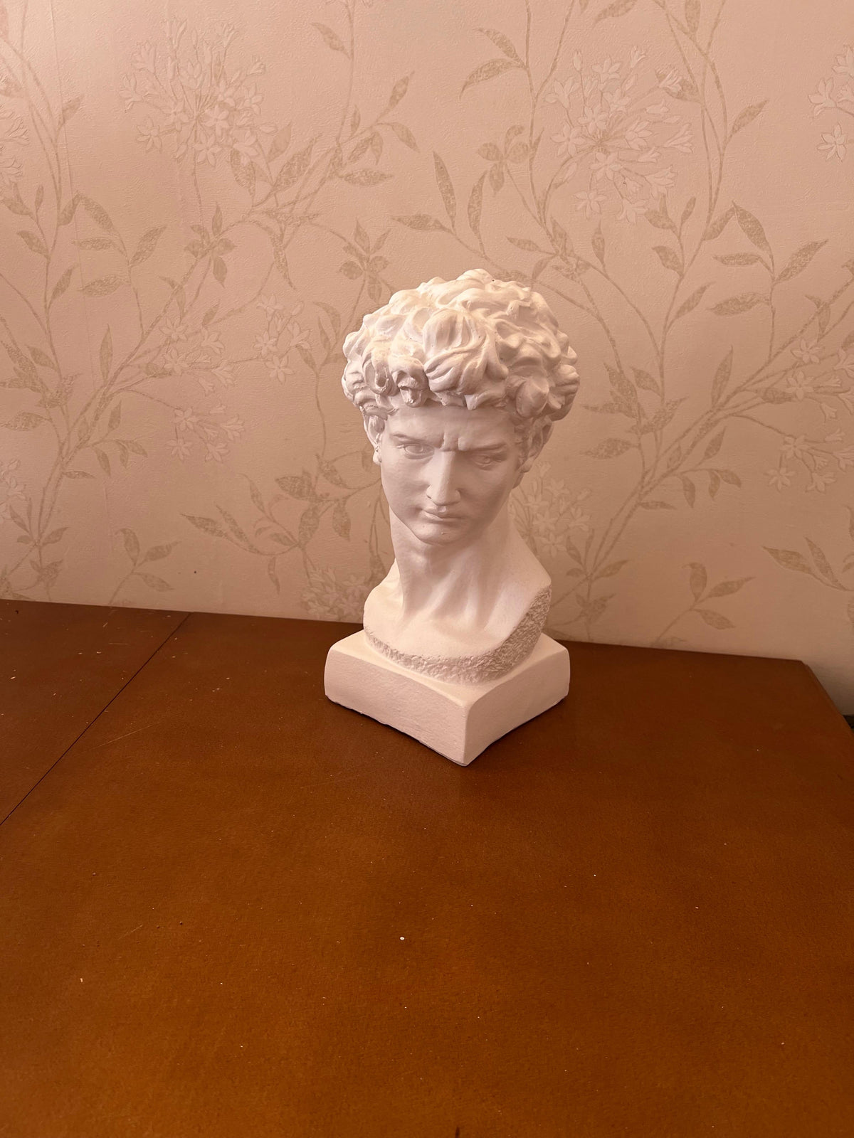 Classical Bust Sculpture, David Bust Head Satue, Renaissance Style Bust Statue, Classical Head Sculpture, David Bust Sculpture, David Bust, David Bust Decor, David Sculpture