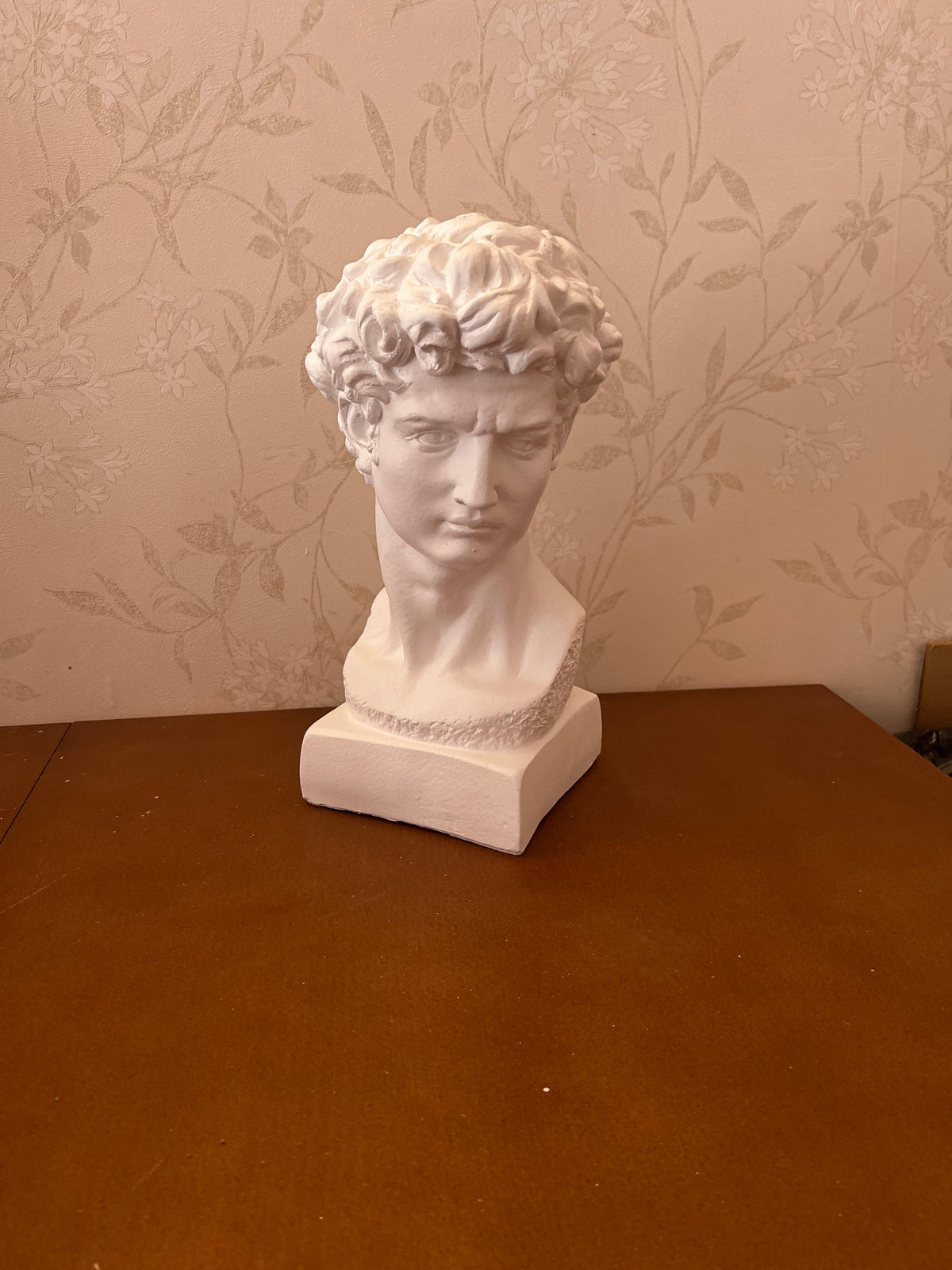 Classical Bust Sculpture, David Bust Head Satue, Renaissance Style Bust Statue, Classical Head Sculpture, David Bust Sculpture, David Bust, David Bust Decor, David Sculpture
