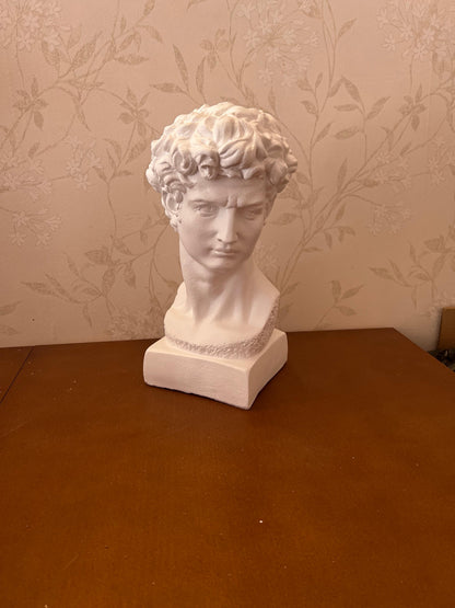 Classical Bust Sculpture, David Bust Head Satue, Renaissance Style Bust Statue, Classical Head Sculpture, David Bust Sculpture, David Bust, David Bust Decor, David Sculpture