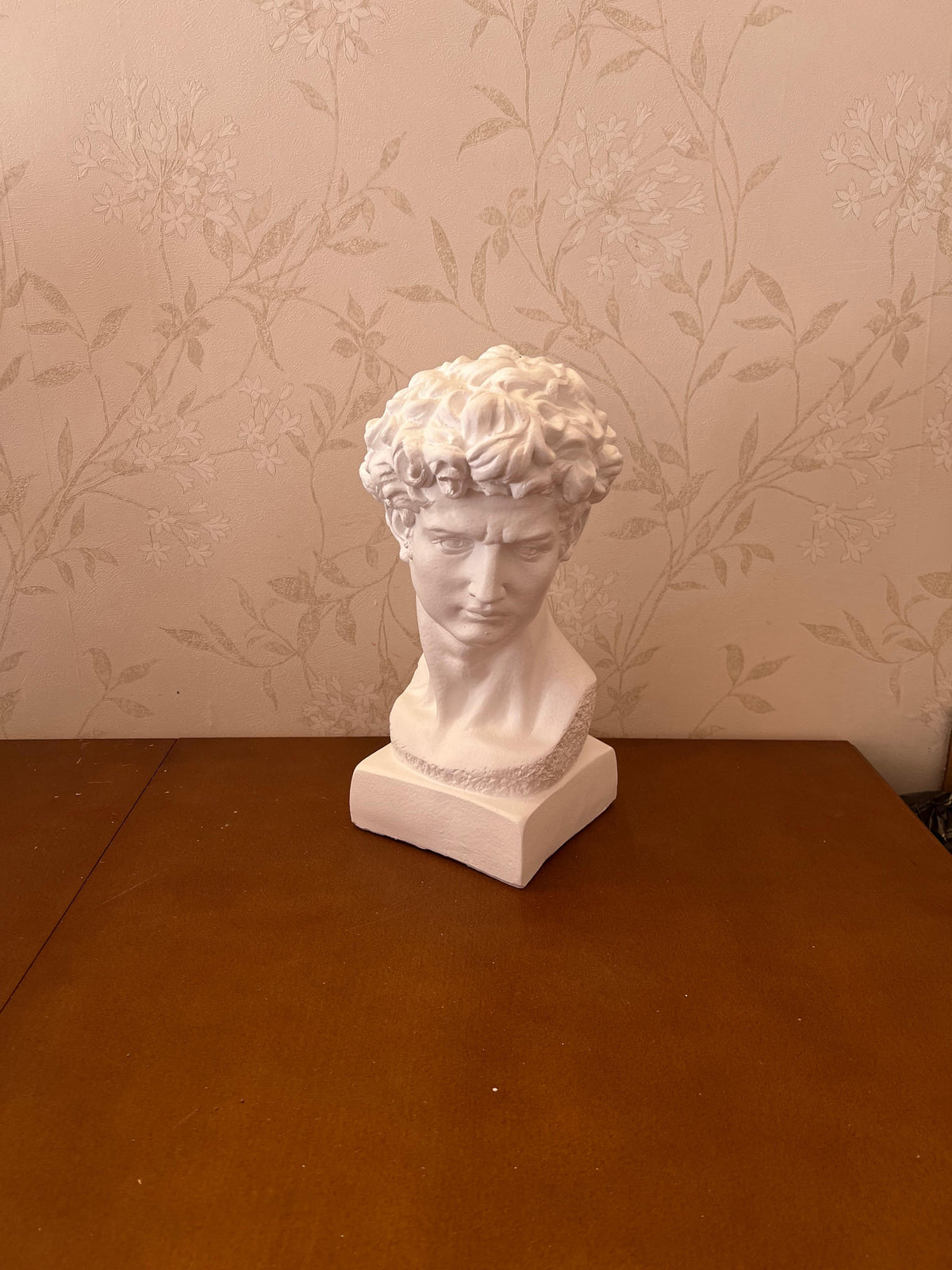 Classical Bust Sculpture, David Bust Head Satue, Renaissance Style Bust Statue, Classical Head Sculpture, David Bust Sculpture, David Bust, David Bust Decor, David Sculpture