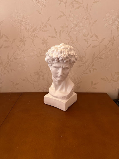 Classical Bust Sculpture, David Bust Head Satue, Renaissance Style Bust Statue, Classical Head Sculpture, David Bust Sculpture, David Bust, David Bust Decor, David Sculpture