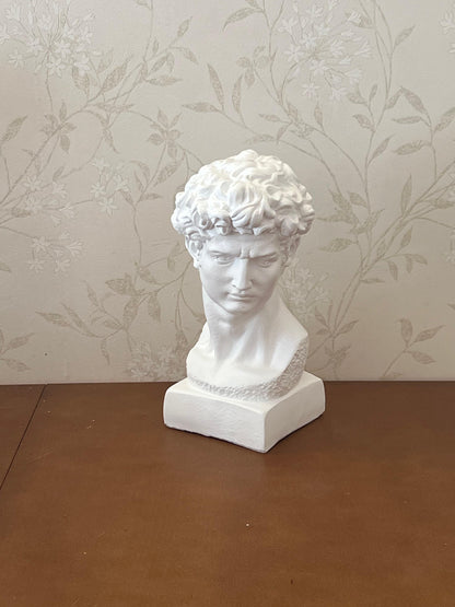 Classical Bust Sculpture, David Bust Head Satue, Renaissance Style Bust Statue, Classical Head Sculpture, David Bust Sculpture, David Bust, David Bust Decor, David Sculpture